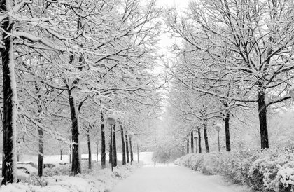 winter-home-prices