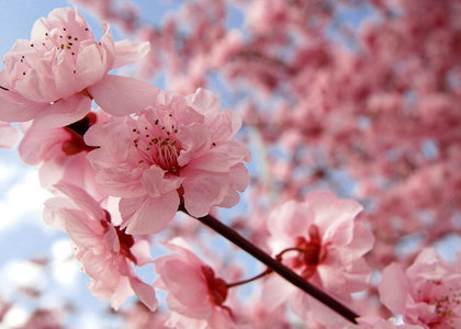 david-cieslak-spring-homebuying-season-staging-tips-signature-staging