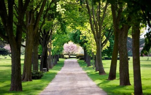 chicagland-fastest-selling-markets-arlington-heights-october-2015
