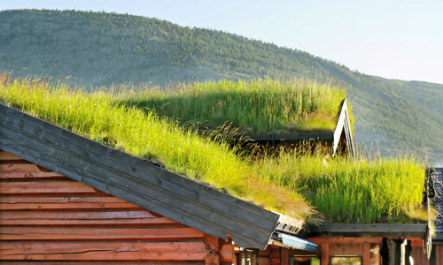 7-Trends-roofing