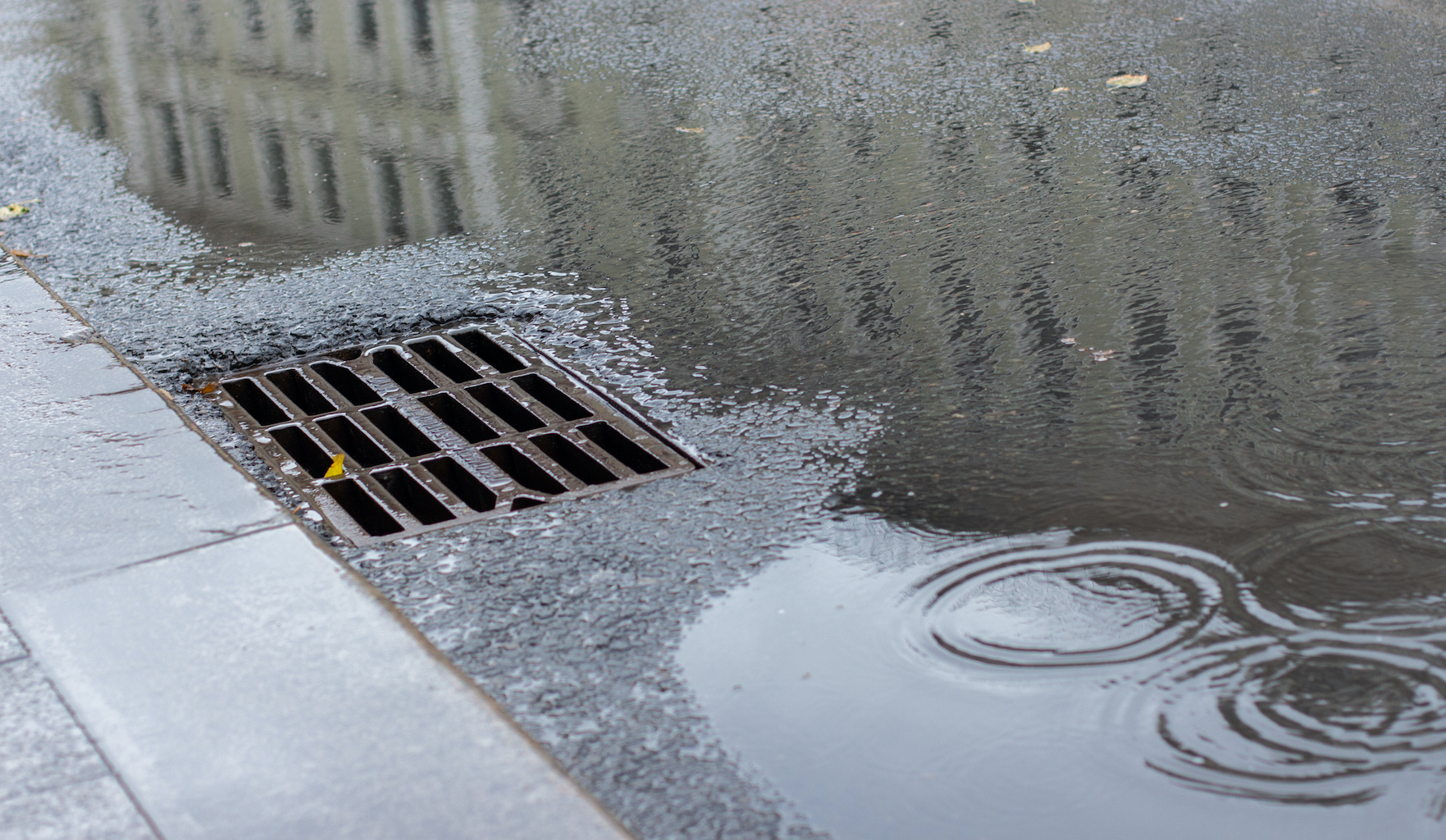 Autumn asphalt, metal grating stormwater on a city street. Autumn rainy weather with puddles, outflow of water from the highway.