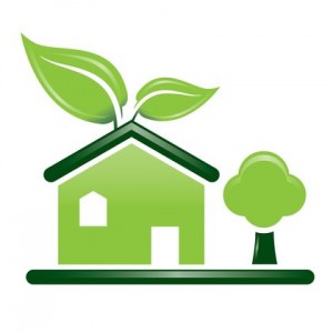 green-home-miami-little-gables-carlos-ruiz