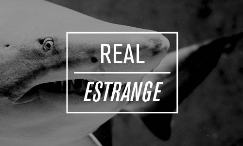 REAL-Shark Tank