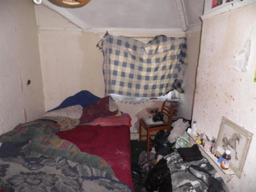 tumblr_moyw5dllUr1rrqskho1_500