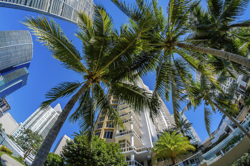 /wp-content/uploads/sites/4/2016/06/rsz_miami_palm_streets_high_rises_istock_000058153398_full.jpg