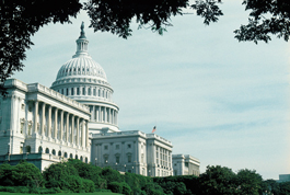 legislation_capitol_hill