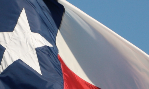 Texas-Houston-aging-population-workforce-migration-2030-2050-predictions-demographics