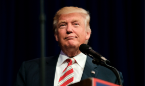 Trump-housing-president-real-estate-building-regulations