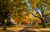 newton-suburb-boston-town-homes-house-home