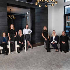 The Shulkin Wilk Group